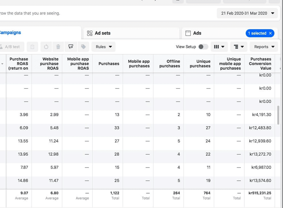 Facebook ad successful case example